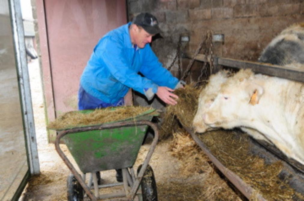 De oudste gast op de boerderij verzorgt de dieren.