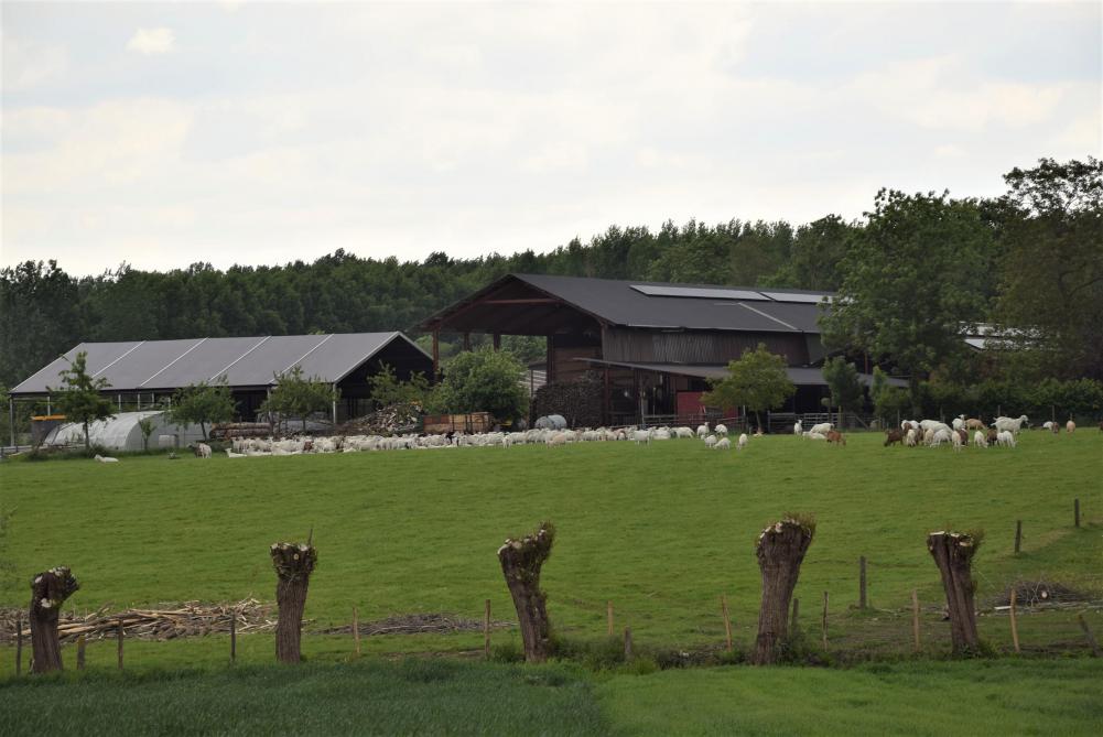 De Speiboerderij ligt in het glooiende landschap nabij de Vlaamse Ardennen. In het hoge gebouw is de grasdroogschuur.