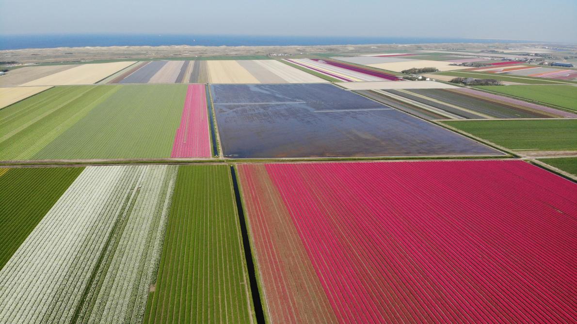 Zowel Blokker als Burger ervaren dat toeristen die zomers langs de percelen wandelen, fietsen of rijden het over het algemeen een schitterend gezicht vinden. Blokker:  “En voor vogels is het natuurlijk ook een walhalla. In de geïnundeerde percelen zitten  veel waterdiertjes waar ze gek op zijn.”