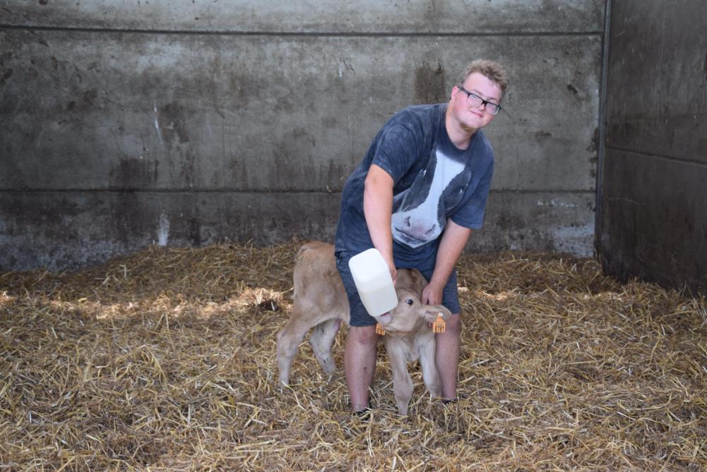 De passie voor de landbouwstiel gaf Tom door aan zijn zoon Tim, die nu permanent  meehelpt op de boerderij.