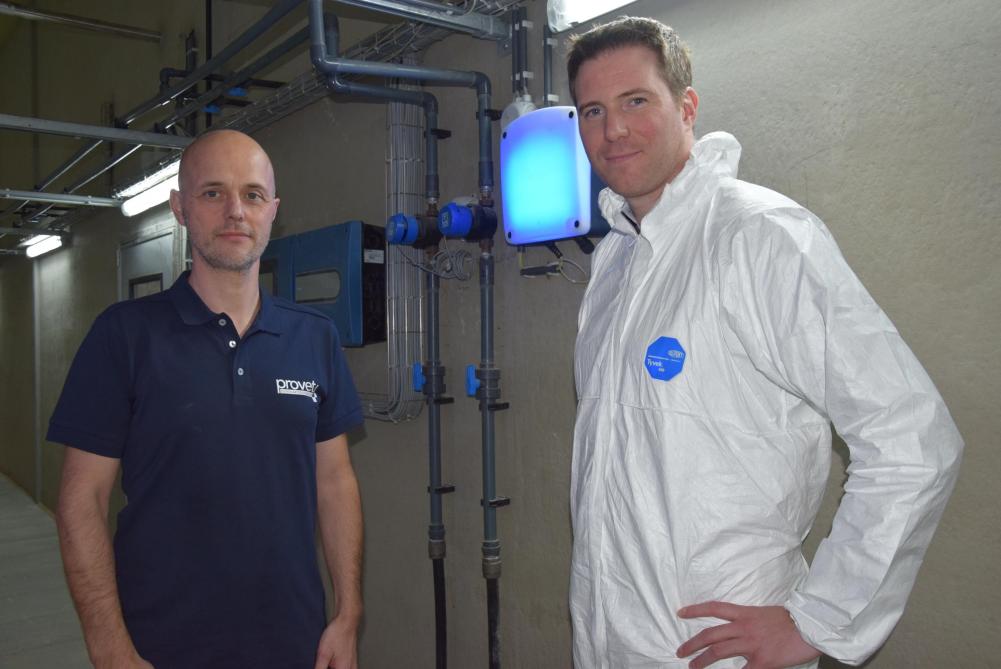 Pascal Defoort (links) en Dries Berckmans in de centrale gang van varkensbedrijf Wallehoek. De hoestmonitor stuurt een draadloos signaal naar de gateway (blauw licht).