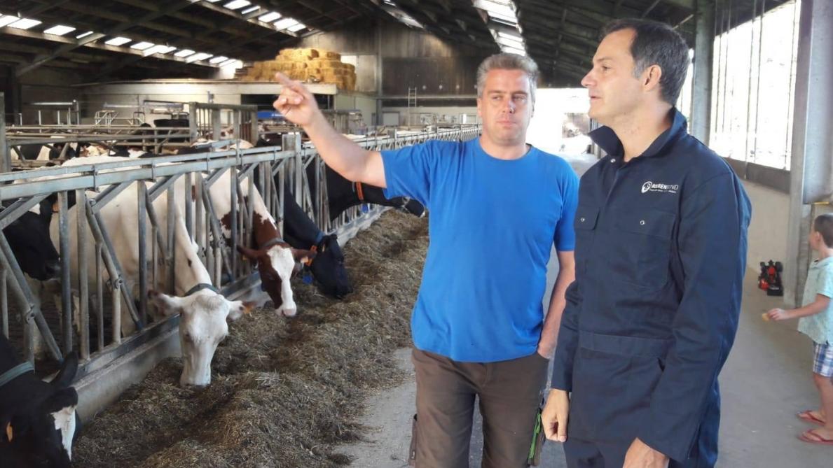 Op uitnodiging van Boerenbond liep eerste minister Alexander De Croo zomerstage op een melkveebedrijf in Zottegem.