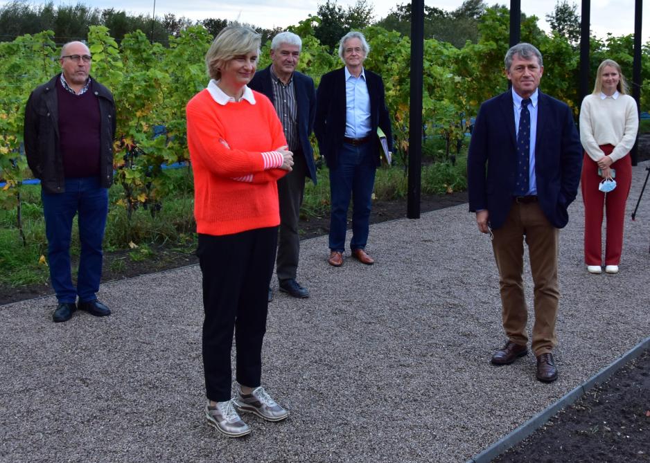 Minister Hilde Crevits in gezelschap van de bestuursleden van de vzw Belgische Wijnbouwers.