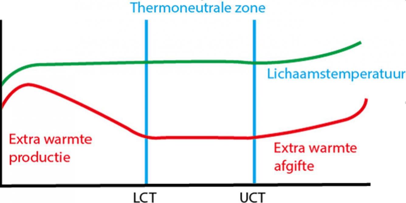 Figuur 1: De kritische lichaamstemperatuur is verschillend voor elke diersoort (LCT = Lower Critical Temperature, UCT = Upper Critical Temperature)