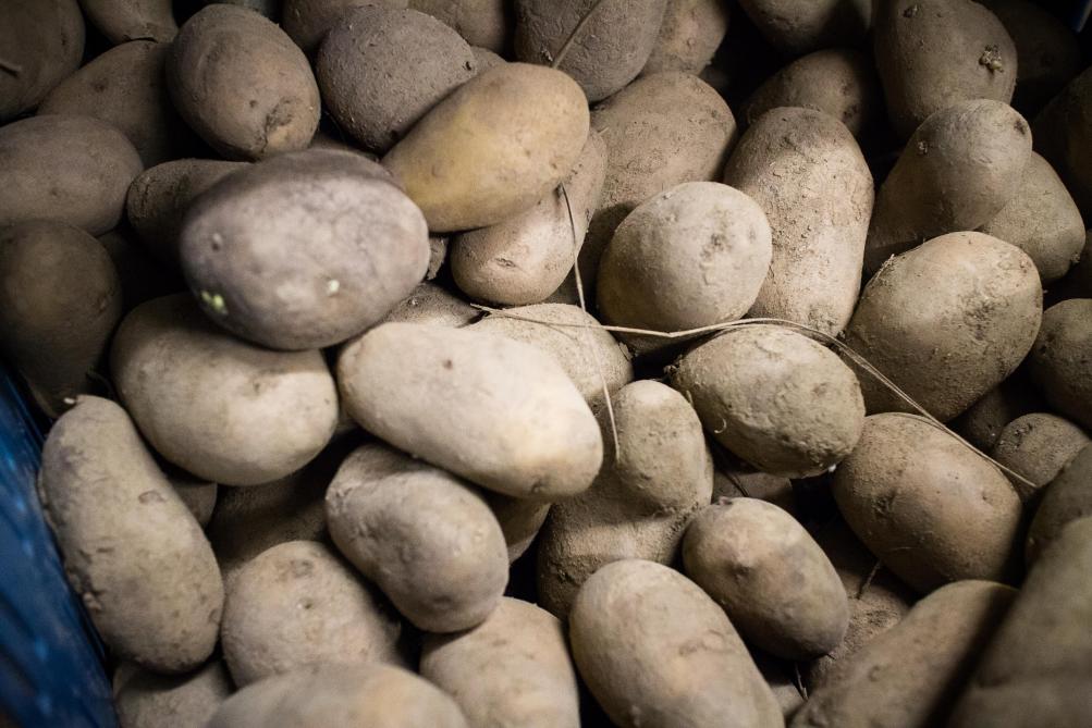 De aardappelprijzen zijn in 2020 in elkaar gezakt.