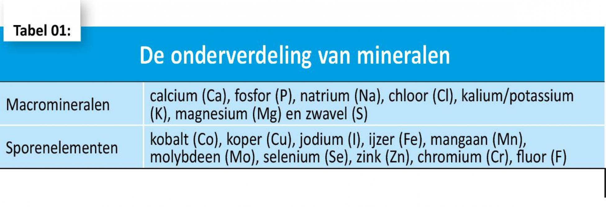 3276-MINERALEN1 (2)