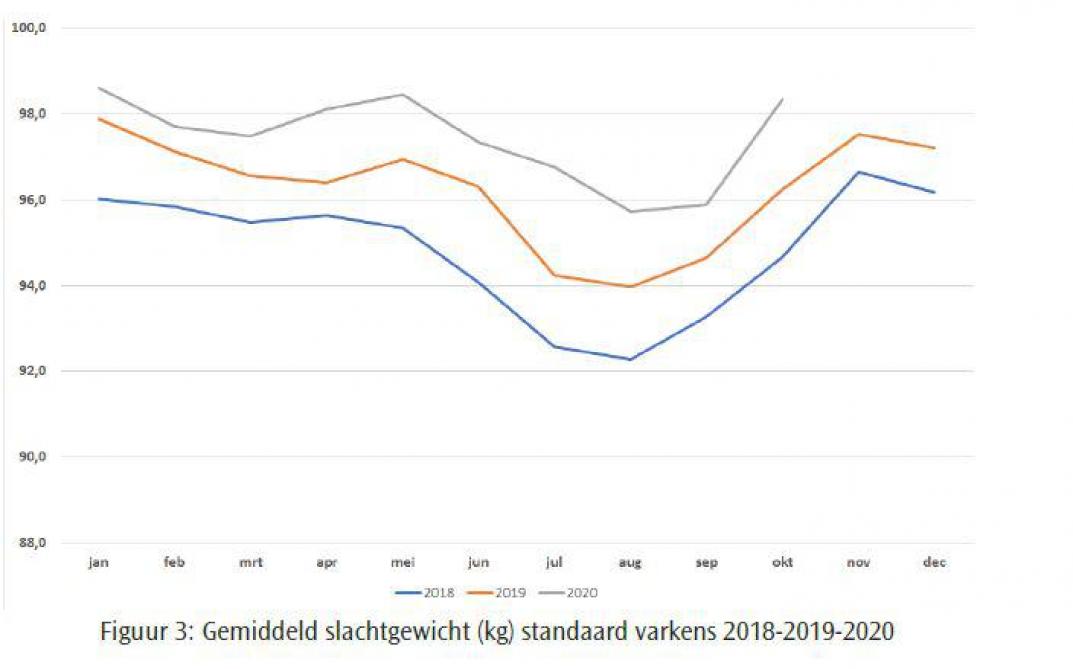 Figuur 3 Gemiddeld slachtgewicht (kg) standaard varkens 2018-2019-2020