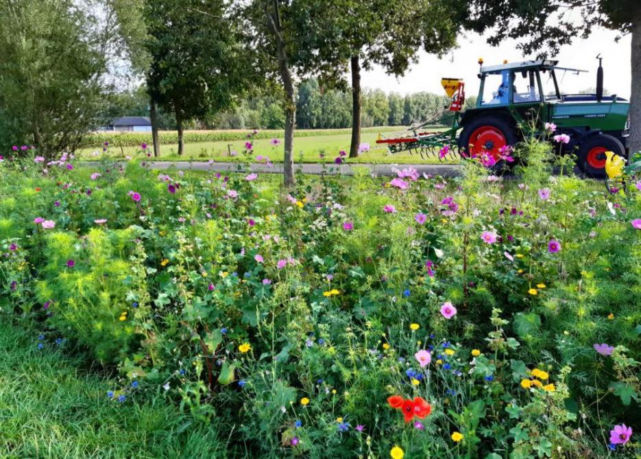 172 landbouwers zullen minstens 44 ha aan bloemenpracht zaaien op Oost-Vlaamse percelen en akkerranden.
