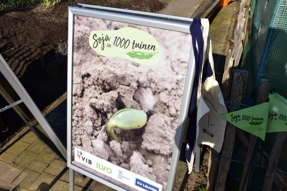 Om te slagen in hun opzet zijn de onderzoekers op zoek naar 1.000 burgerwetenschappers, die in hun tuin een 60 tal (toegestuurde) sojabonen willen planten, op een stuk van 1 vierkante meter tuin.