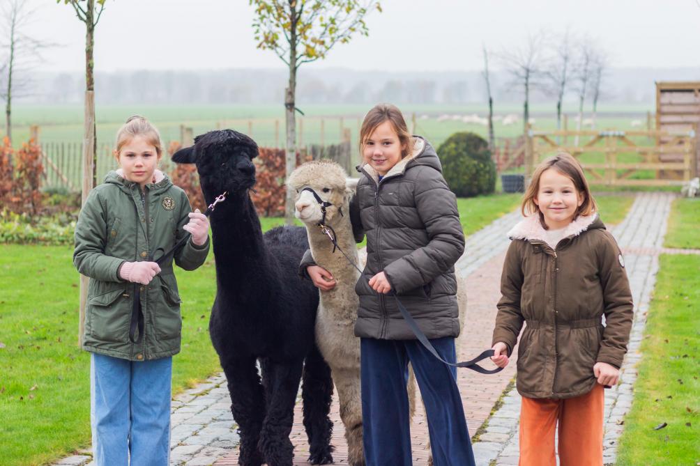 Lieze (links) Gitte (midden) en Nore (rechts), de kinderen van Ingrid en Rob, tonen trots hun alpaca’s.