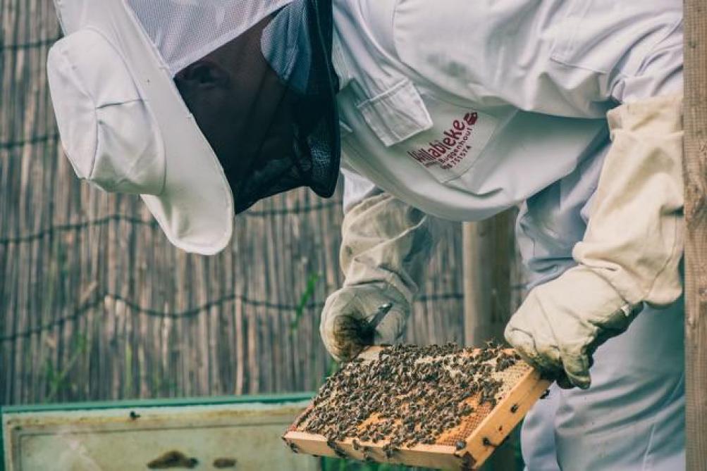 Een imker kan visueel checken of de honing van goede kwaliteit is.