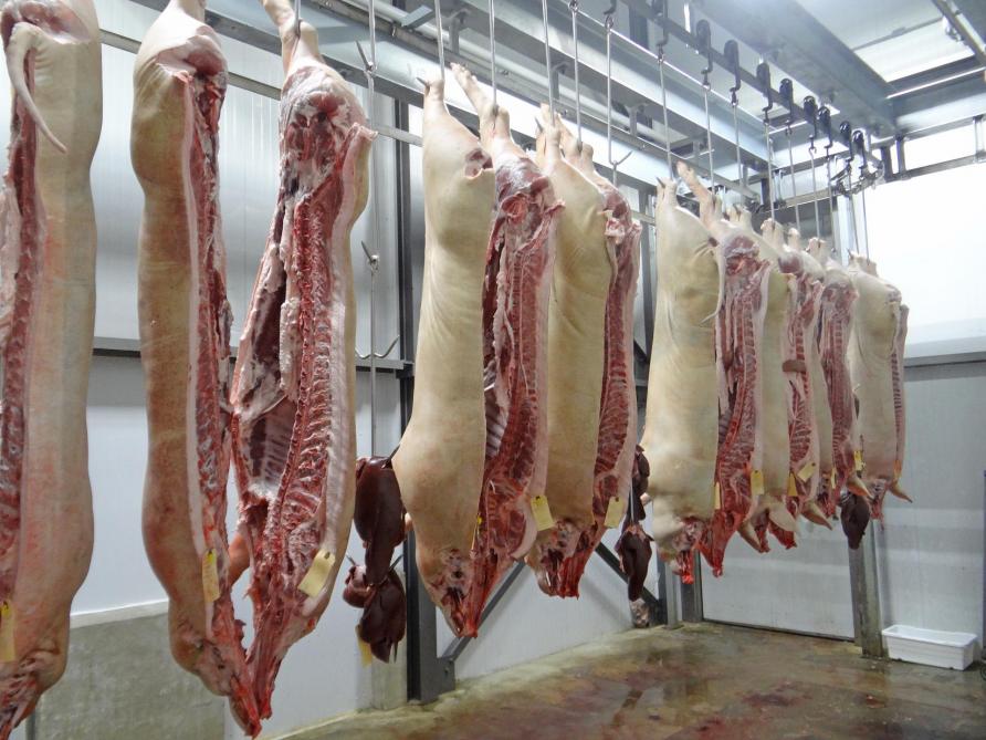 De export van vers varkensvlees blijft in waarde heel belangrijk.
