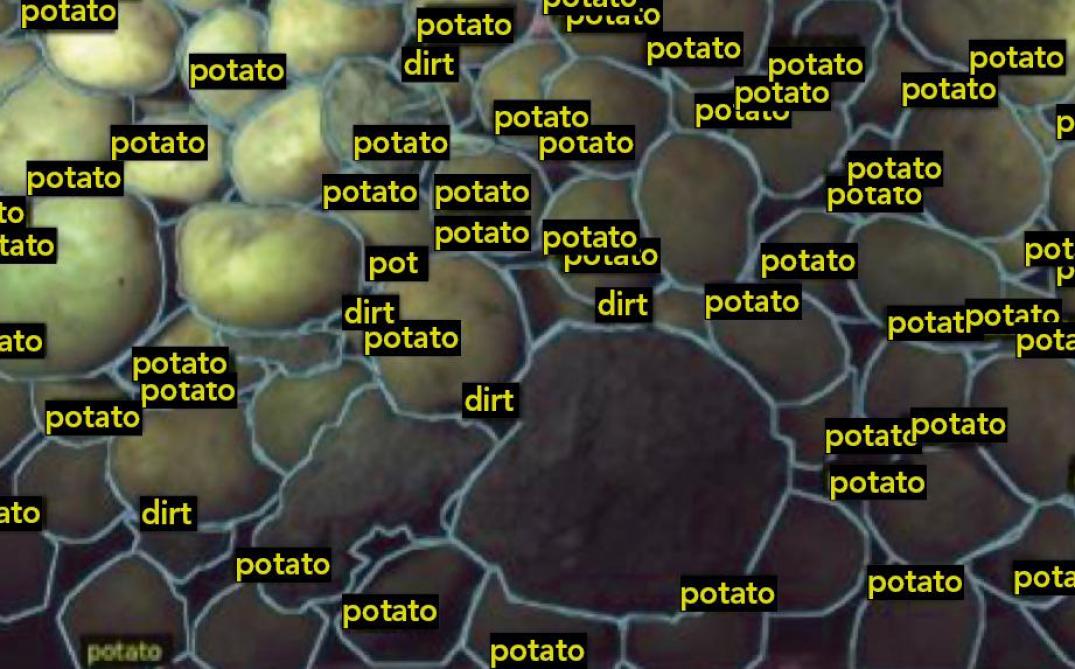 Classificatiesoftware van het project POTCHAIN om aardappelen te onderscheiden van aarde en bladeren.