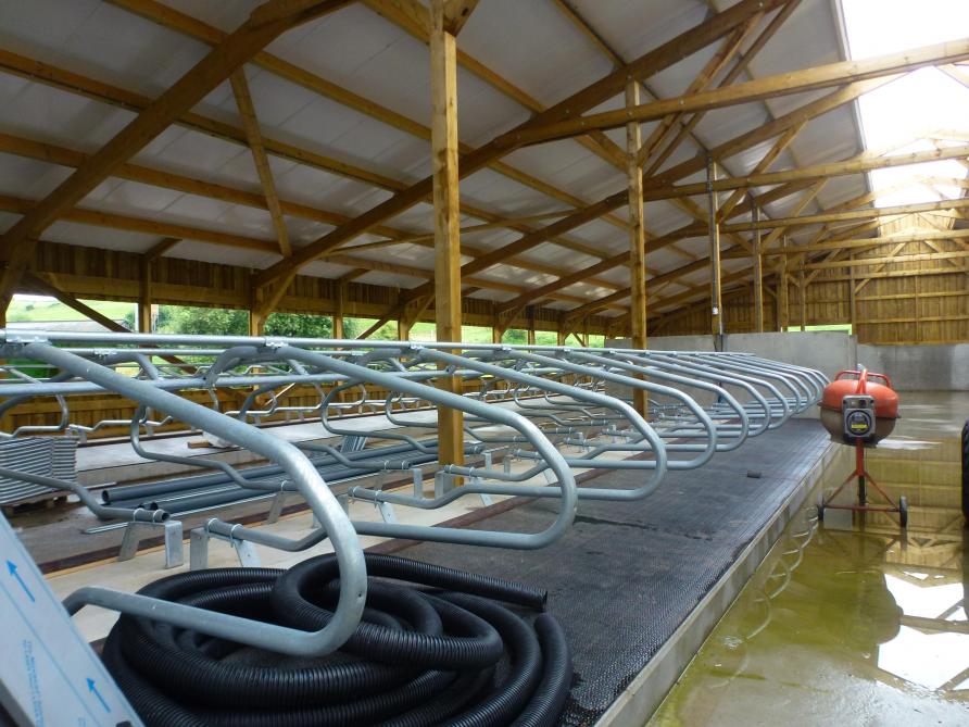 De nieuwe stal telt 80 ligboxen voor de drachtige vaarzen en koeien. De stapel zal de komende jaren groeien naar 70 tot 75 dieren.