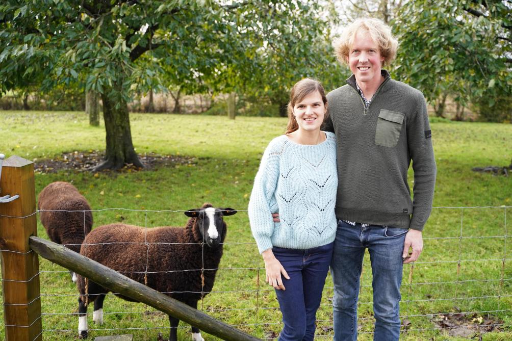 Steven en Lise hebben enkele fruitbomen en schapen als hobby.