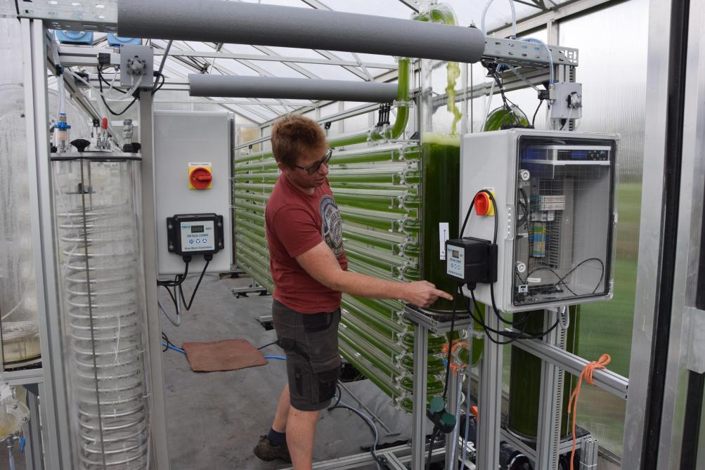 Kris zijn kleinschalige installatie voor algenopkweek. De grotere installatie is 60x groter.