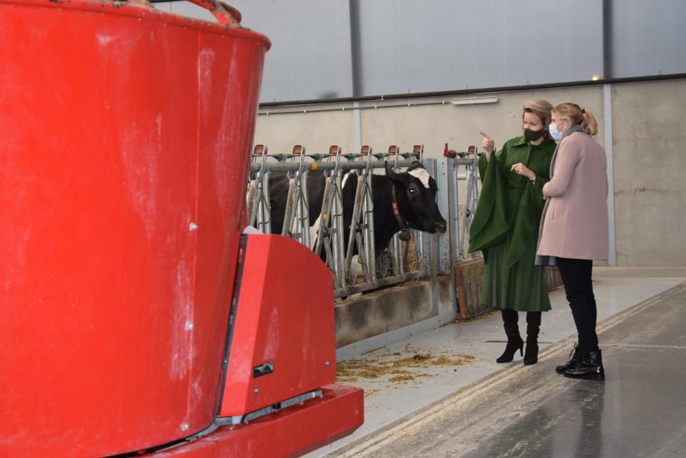 Ook tijdens de rondgang op het Koeweidehof toonde koningin Mathilde veel interesse over het reilen en zeilen op het melkveebedrijf.