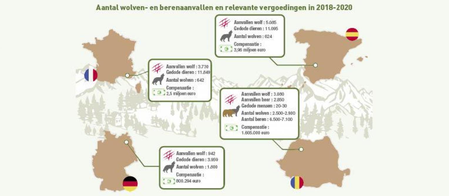 wolven en beren cijfers