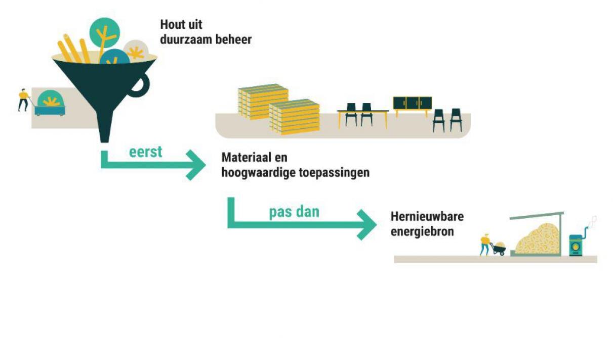 Biomassaketel: van hout naar een hernieuwbare energiebron.