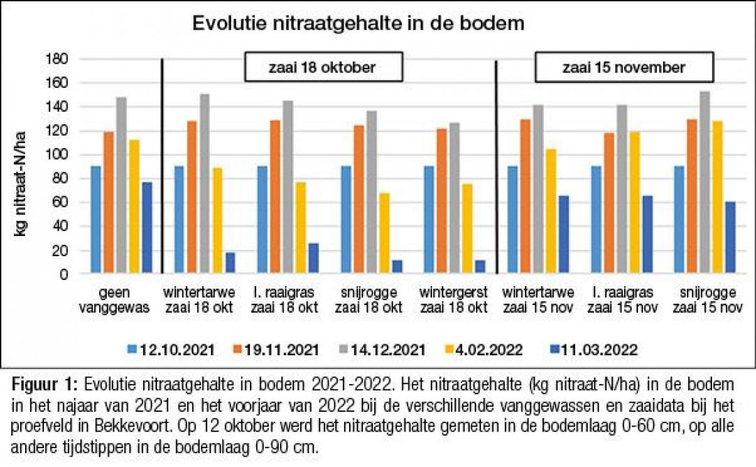 40-3365-gewasse-01-web