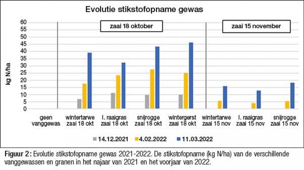 40-3365-gewasse-02-web