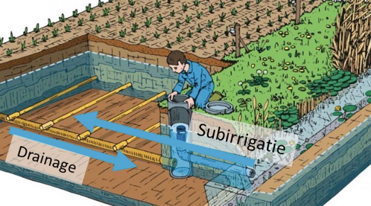 Figuur 2: Het concept van drainage en subirrigatie. Bij PGD stroomt het water van het perceel naar de gracht. Bij subirrigatie stroomt het water van de gracht in het perceel.