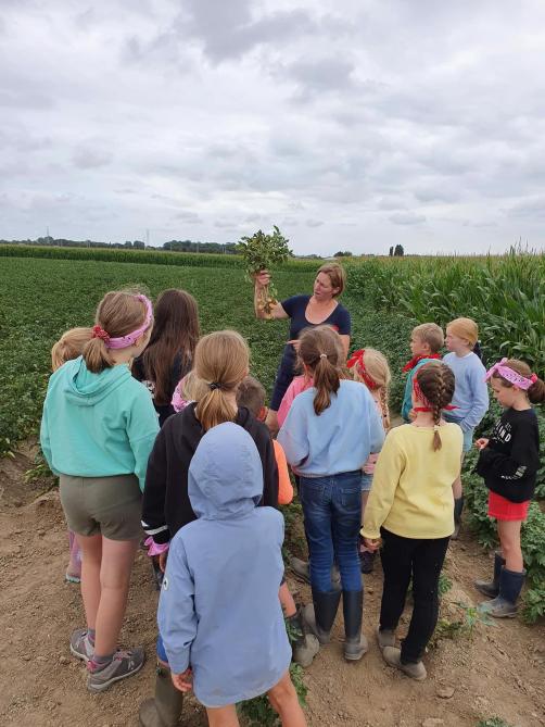 Tijdens de boerderijbezoeken toont Lies graag hoe aardappelen en maïs groeien.