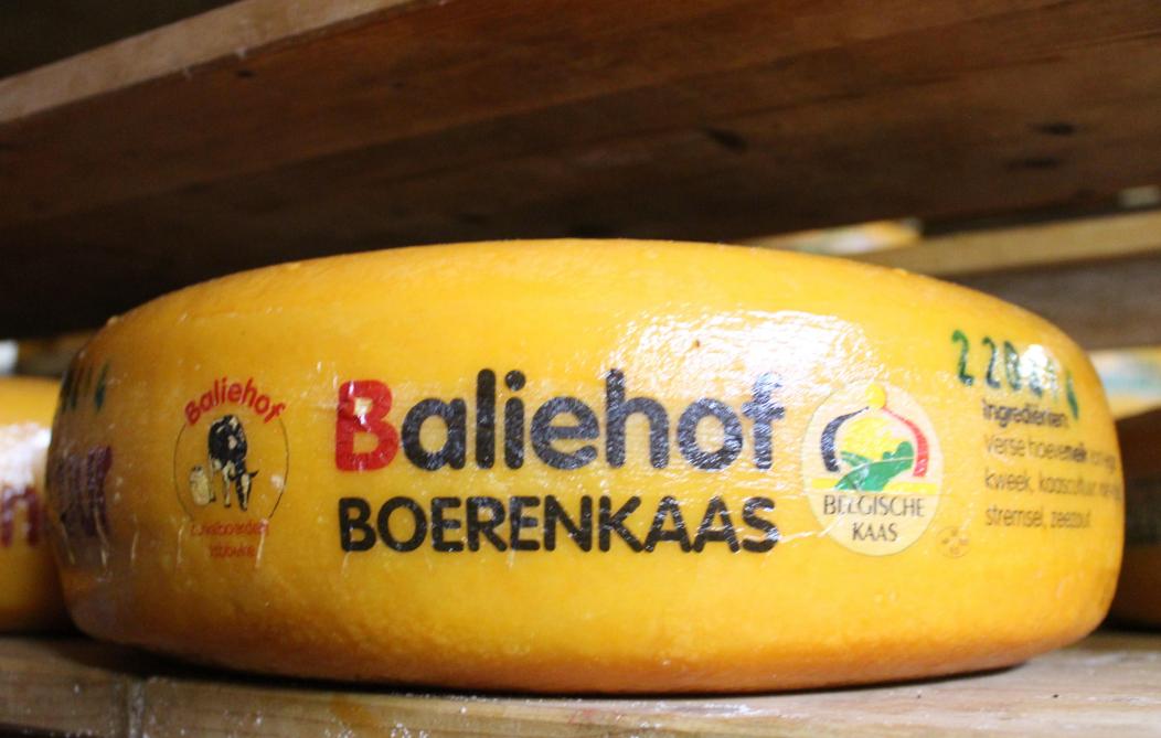 Het baliehof won 3 medailles op de World Cheese Awards in de categorie boerenkazen.
