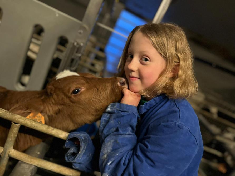 Dochter Marie is er zeker van dat ze later ook boerin zal worden. Ze doet niets liever dan tussen de kalveren lopen.