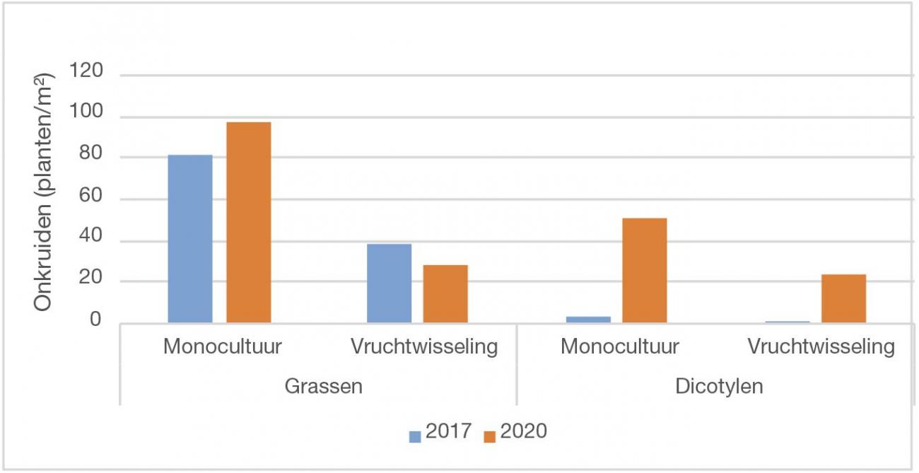 Figuur 1: Verschil in onkruiddruk tussen monocultuur mais en vruchtwisseling.