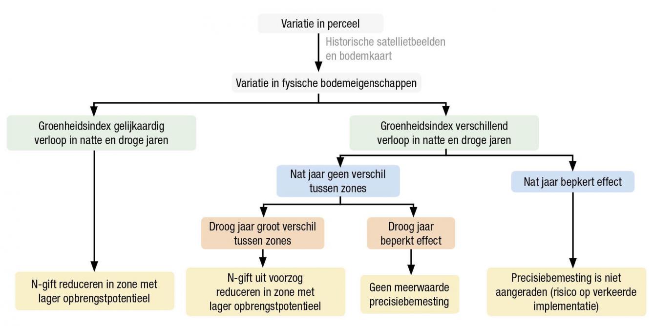 Figuur 1: Beslissingsboom die op basis van informatie over de verschillen in fysische bodemeigenschappen binnen een perceel en op basis van het verloop van een groenheidsindex uit satellietbeelden in natte en droge jaren helpt nagaan of precisiebemesting aangewezen is op een perceel.