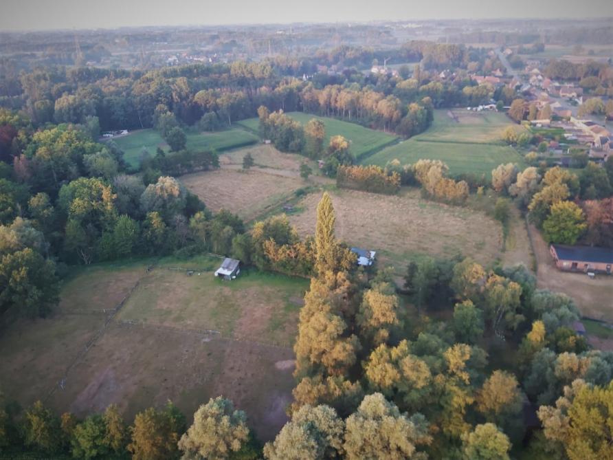 De biodiversiteit is niet gebaat met enkel meer bos. Om meer verschillende diersoorten te hebben, moet je ook meer verschillende soorten landschappen hebben.