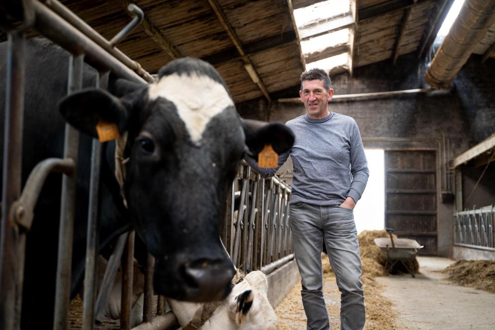 De melkkwaliteit van Luc zijn koeien behoort tot de beste in Vlaanderen.