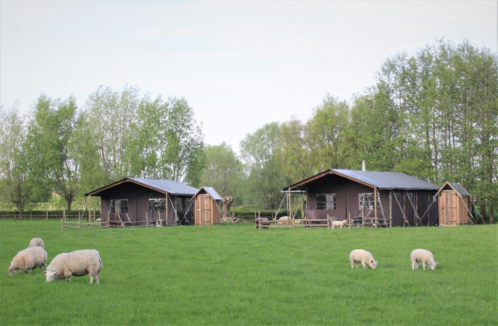 Voor de bezoekers staan 3 tenten klaar op de schapenweide en daar kan iedereen eens ‘back to basics’ gaan.