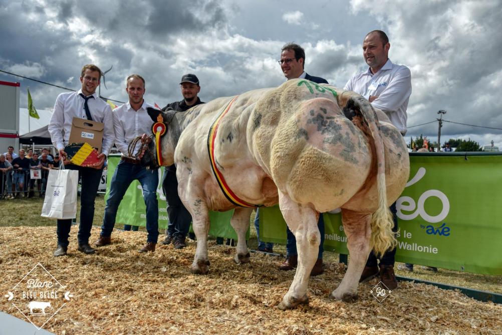 Kampioene bij de koeien 2023: Finalité de Fontena, van Valentin Ramelot.