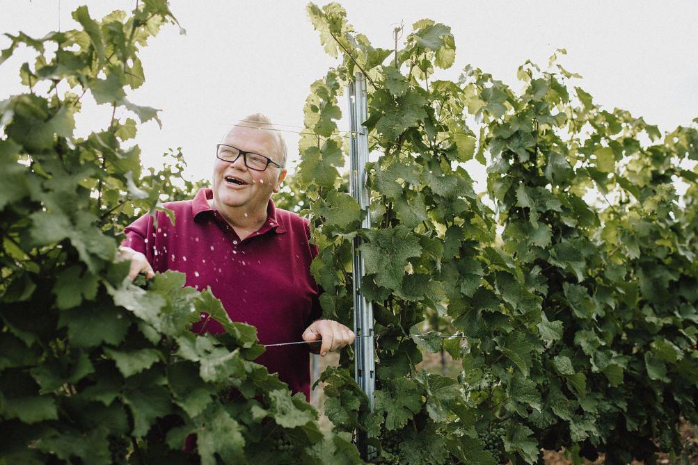 Riesling en Pinot Noir zijn de belangrijkste druiven bij wijnbouwbedrijf Schenk & Siebert.