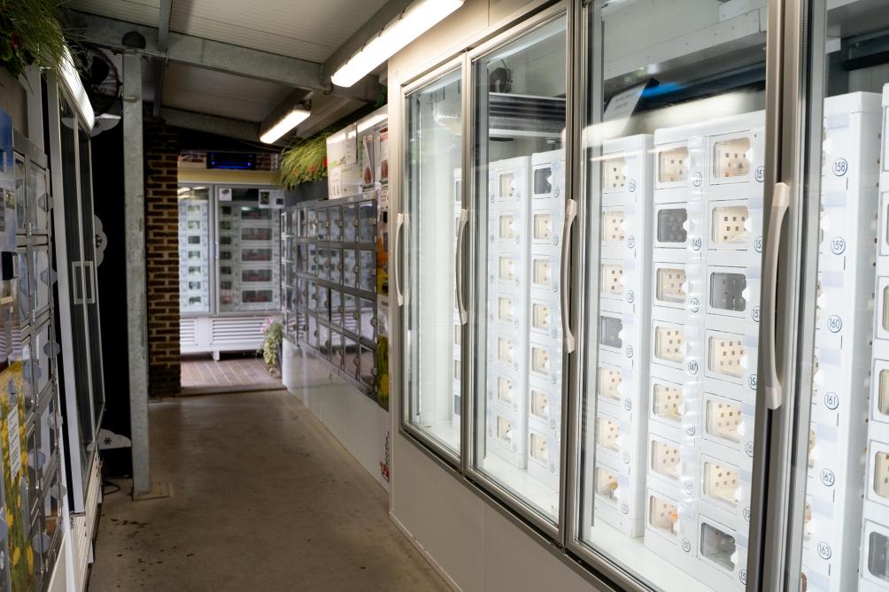 Het aanbod van de automaten op ‘t Pauwenhof is heel uitgebreid, met wel 300 vakjes gevuld met lekkers.