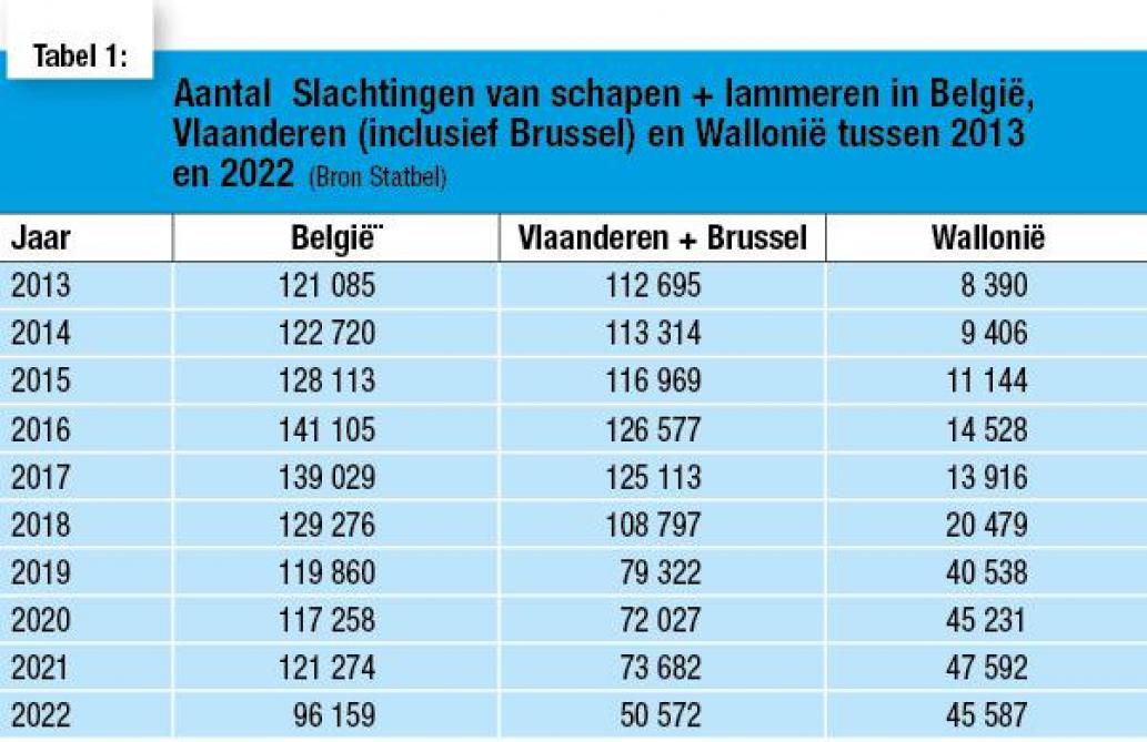 Aantal Slachtingen van schapen + lammeren in België, Vlaanderen (inclusief Brussel) en Wallonië tussen 2013 en 2022 (Bron Statbel)
