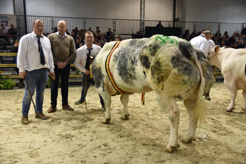 Kampioen koeien - Intacte ET du Pouhon (Grommit X Shériff) van Jean-Philippe George & Léon Juprelle, Clavier.