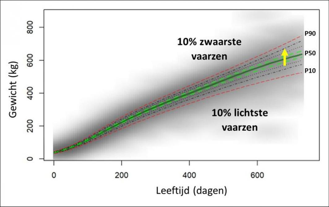 Figuur 1: Gewichten van vaarzen in functie van leeftijd verdeeld over de verschillende kwantielen. De volle groene lijn (P50) stelt de gemiddelde groeicurve van 1.760 vaarzen voor.