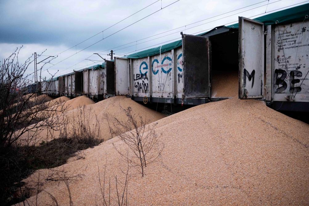 Zondag 25 februari werden er 8 wagons met Oekraïens graan opengebroken en uitgekieperd. Mogelijk is er een connectie met de blokkades van landbouwproducten uit Oekraïene door Poolse boeren.