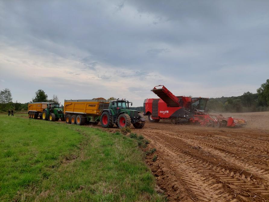 De bruto- opbrengsten van  de geteste  aardappelrassen lagen in 2023 hoog.