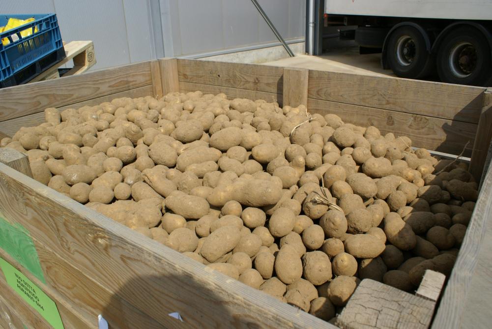 De aardappelprijs bewijst dat verwerkers en telers sterker naar elkaar toe groeien.