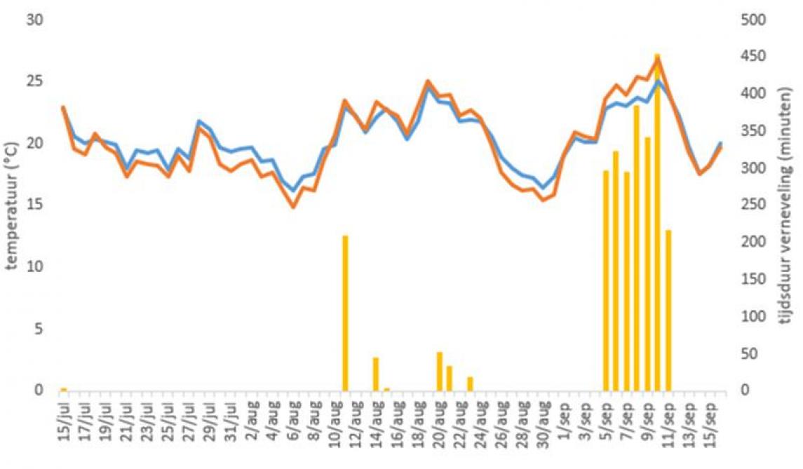 De staltemperatuur (de blauwe lijn) zakt effectief een aantal graden ten opzichte van de buitentemperatuur (oranje lijn) bij het vernevelen in de Hooibeekhoeve vorige zomer. De gele balkjes geven de tijdsduur aan dat de verneveling gedraaid heeft.