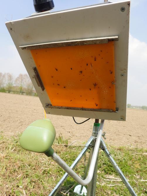 E-Gleek-systeem voor monitoring wortelvlieg in het veld.