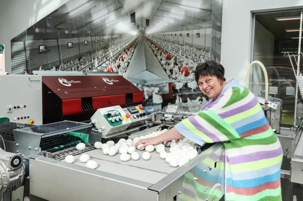 Met een gemiddelde consumptie van 210 eieren per persoon per jaar in onze regio, is het belang van het ei niet te onderschatten. Daarom zet de provincie Antwerpen in op het internationaal delen van kennis , aldus gedeputeerde bevoegd voor Landbouw Kathleen Helsen.