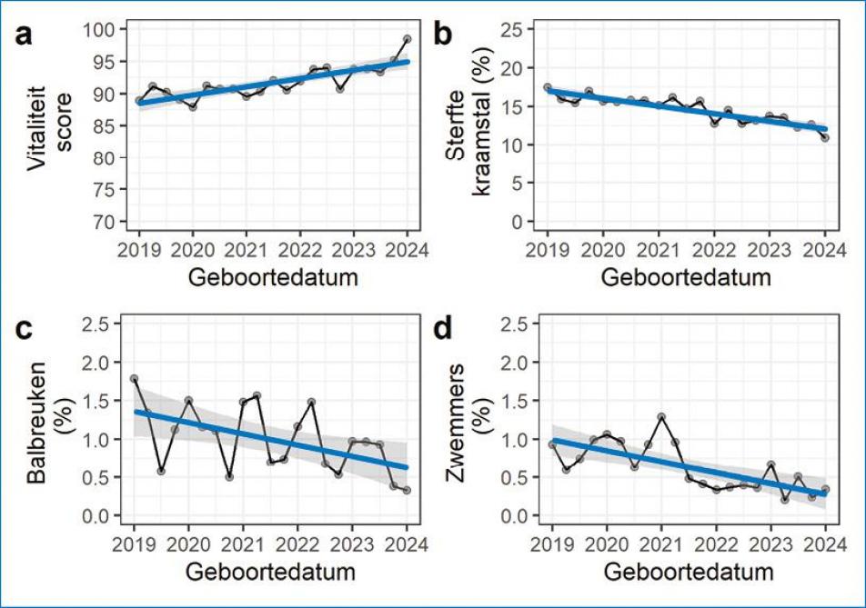 Figuur 1. Geobserveerde evolutie van de bestudeerde kenmerken tussen 2019 en 2023. a) Vitaliteitsscore, b) percentage sterfte in de kraamstal, c) percentage balbreuken, d) percentage zwemmers.