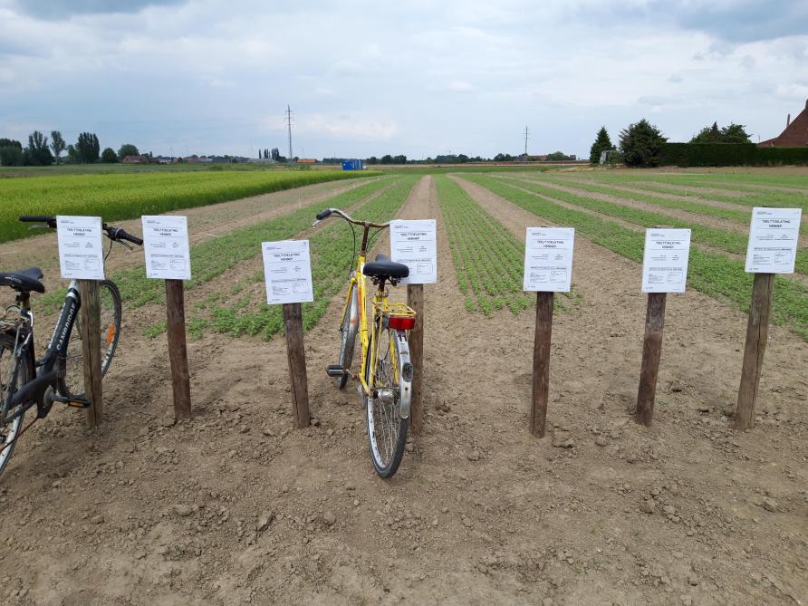 Voorbeeld van teelttoelatingen langs een perceel.