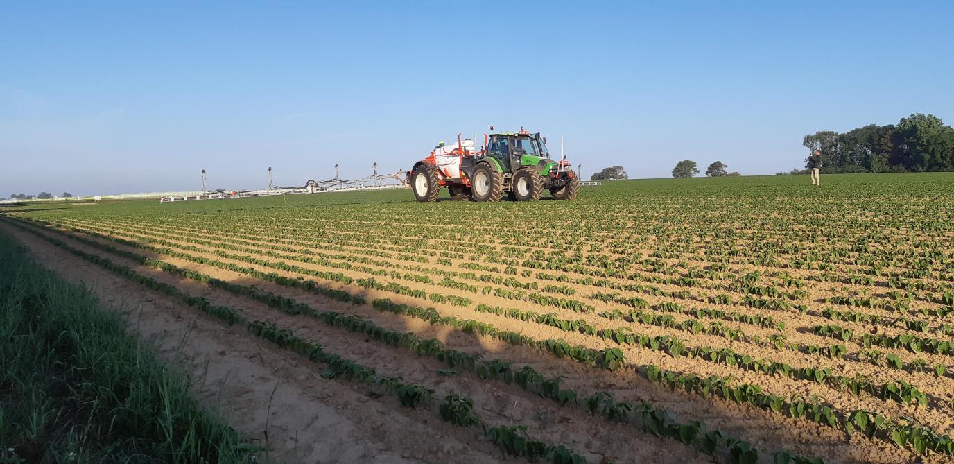 Vorig jaar werd in België geen enkele nieuwe actieve stof goedgekeurd voor gebruik.