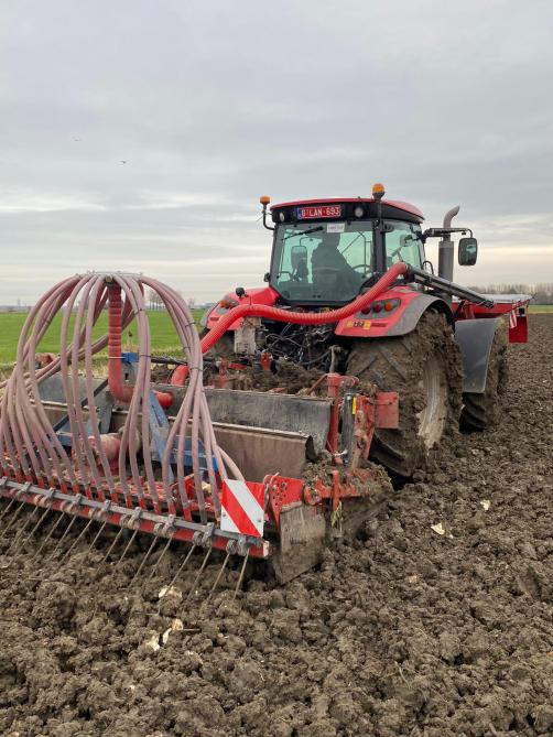Gramegna-spitfrees  voor het zaaien van  wintertarwe na bieten.